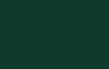 RAL 6004